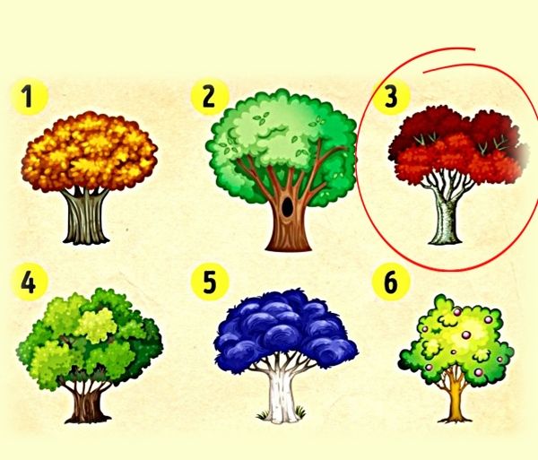 Тест на ваше удачное время - Выберите дерево https://gornnisa.ru/ Дерево 3