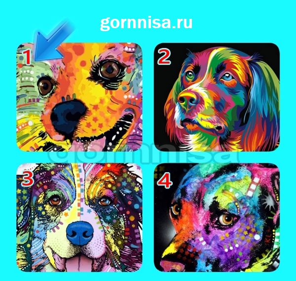 Тест на ваше обаяние - выберите радужную собаку https://gornnisa.ru Собака 1