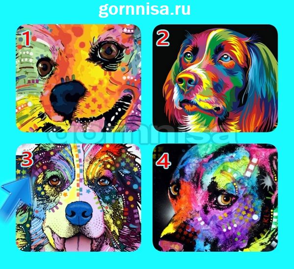 Тест на ваше обаяние - выберите радужную собаку https://gornnisa.ru Собака 3