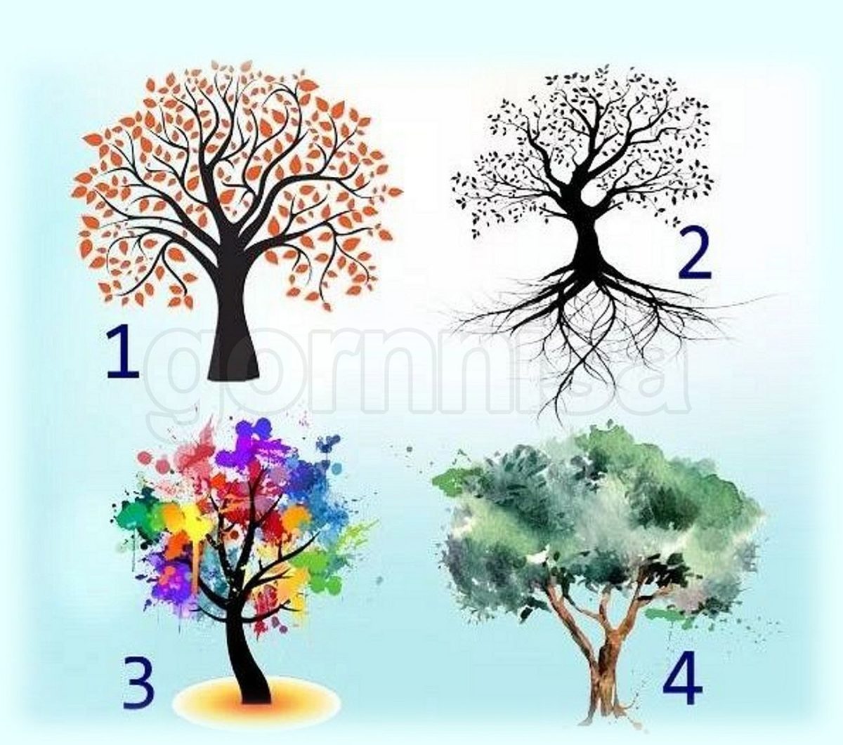 Тест - Выберите дерево и прочитайте основные характеристики вашей личности