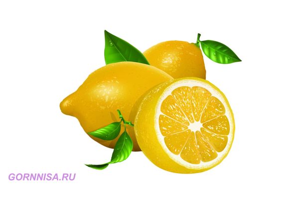 #5 Лимон