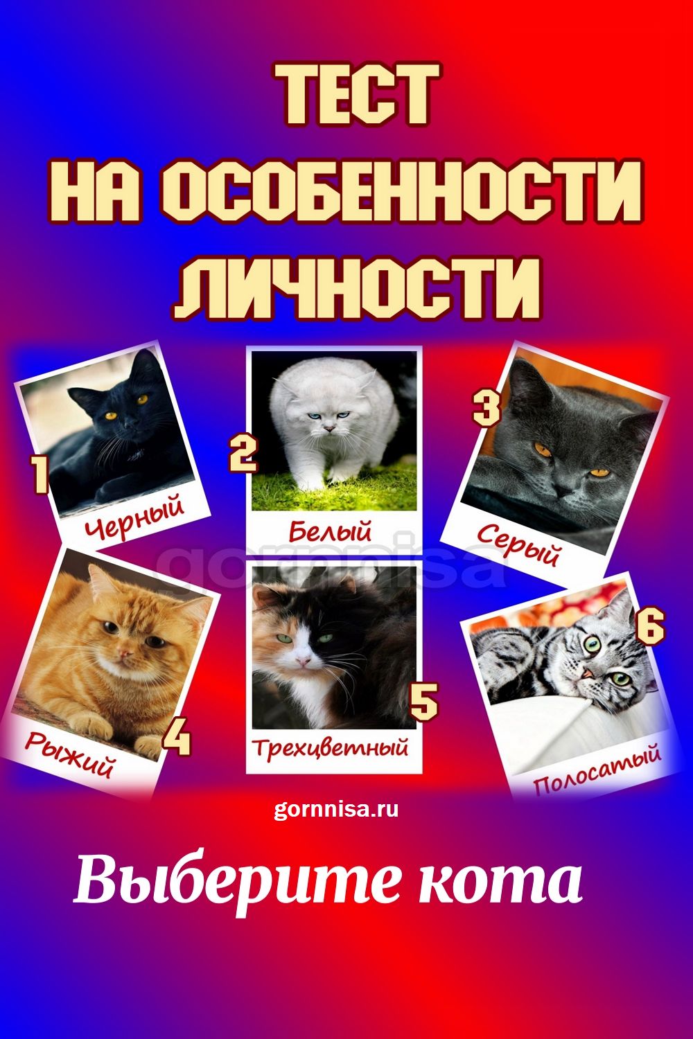 Тест на особенности вашей личности - выберите кота https://gornnisa.ru/