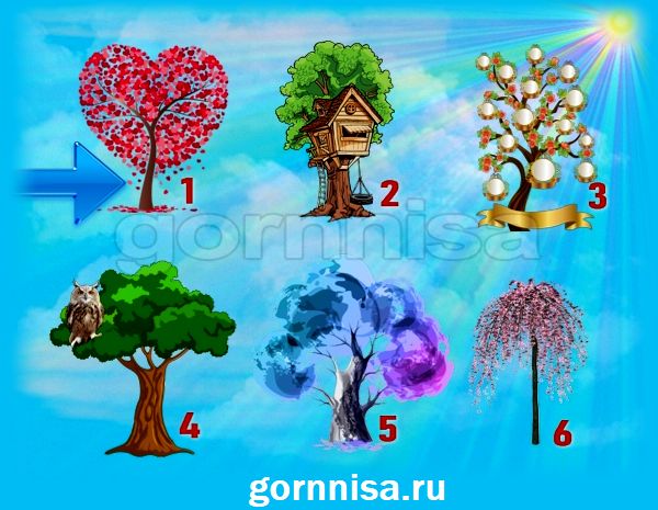 Тест на ваши удачные направления - Выберите дерево https://gornnisa.ru/ Дерево 1