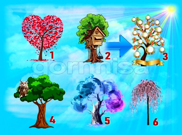 Тест на ваши удачные направления - Выберите дерево https://gornnisa.ru/ Дерево 2