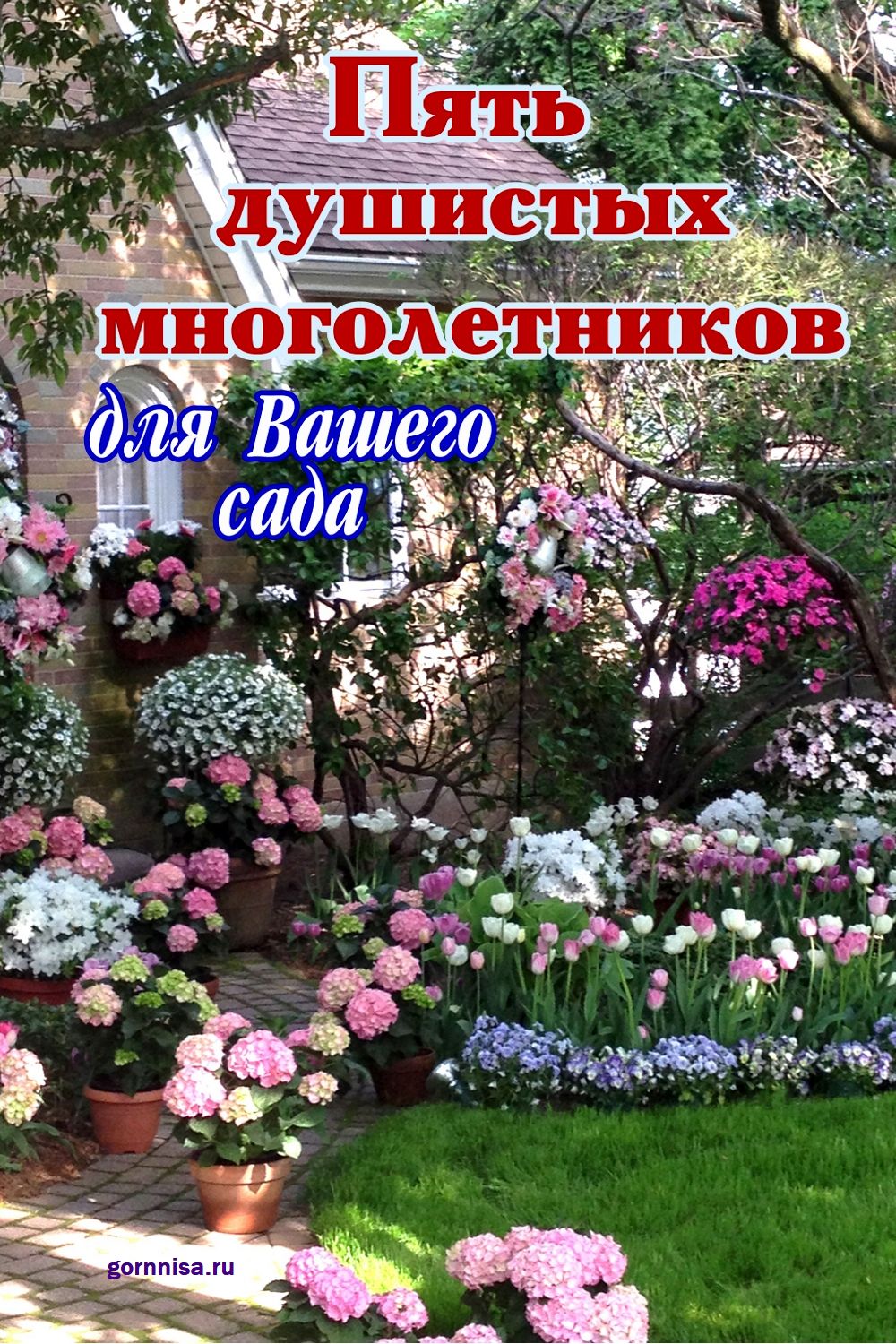 Пять душистых многолетников для вашего сада https://gornnisa.ru
