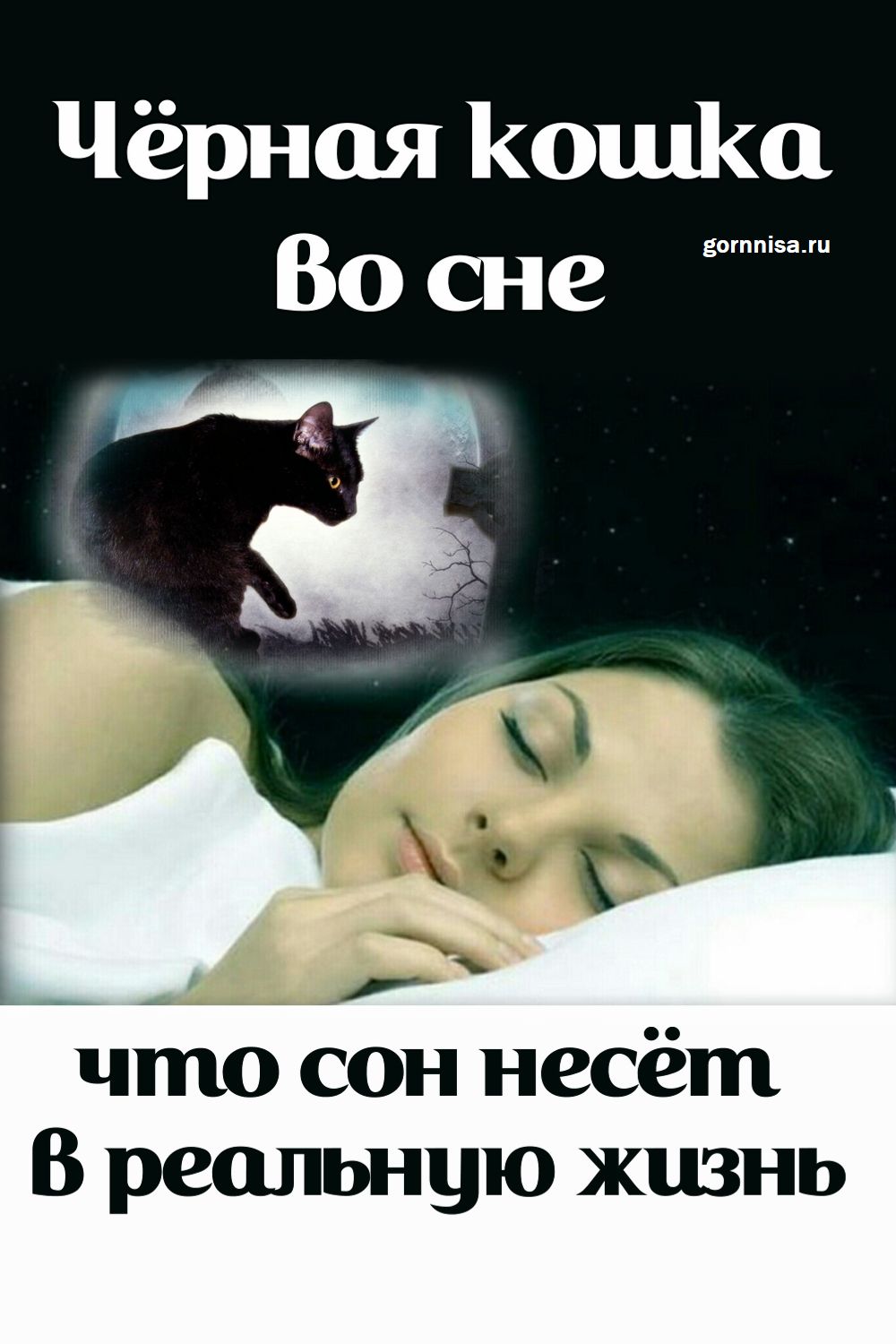 Чёрная кошка во сне - что сон несёт в реальную жизнь