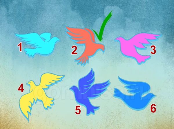 Тест - Выберите голубя и узнайте какие новости на пороге https://gornnisa.ru/ Голубь 2