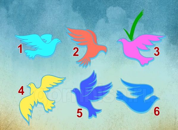 Тест - Выберите голубя и узнайте какие новости на пороге https://gornnisa.ru/ Голубь 3