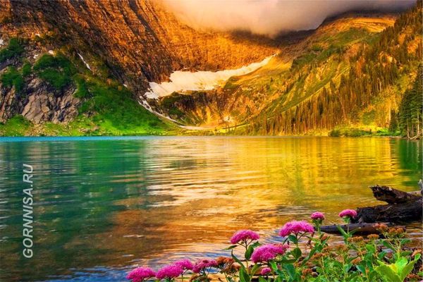 #1 Красивое озеро с цветами