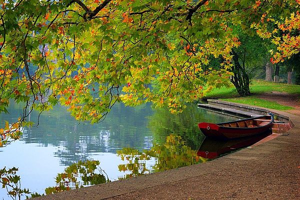 Тест - Выберите осенний водоем и узнайте что исчезает из вашей жизни https://gornnisa.ru/ Осенний пруд в парке