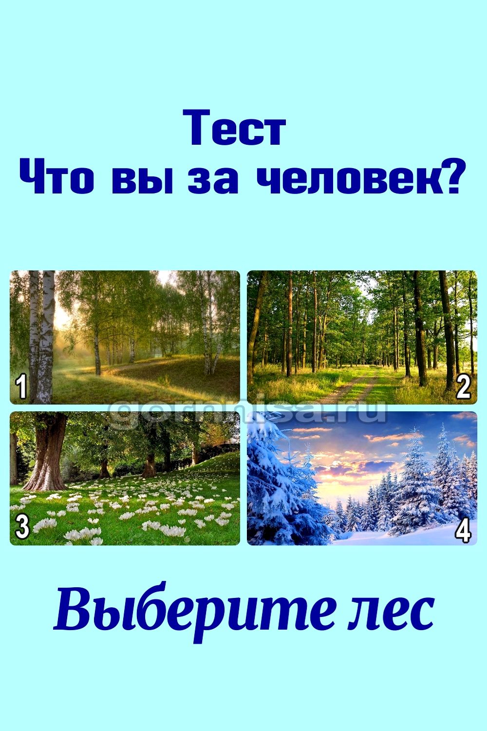 Тест - Что вы за человек - Выберите лес