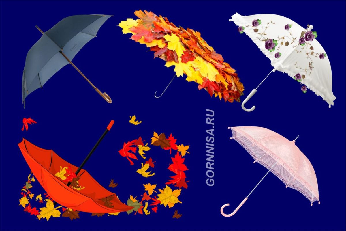 Выберите зонт - осенний личностный тест