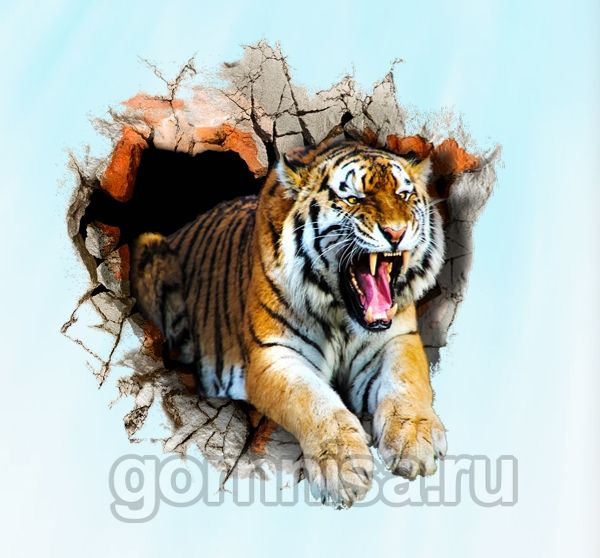 Тигр 4