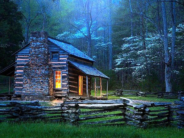 7 Одинокий домик в лесу
