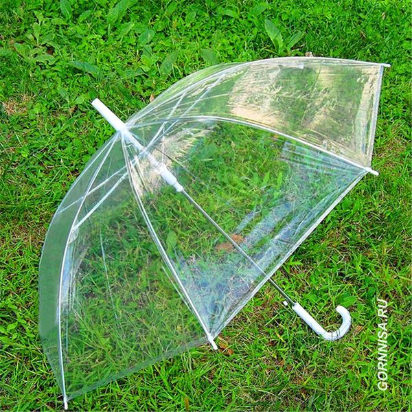 Зонт #2