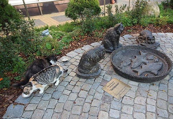 Скульптуры кошек и живая кошка