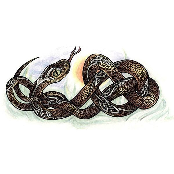 Змея (18 февраля — 17 марта)