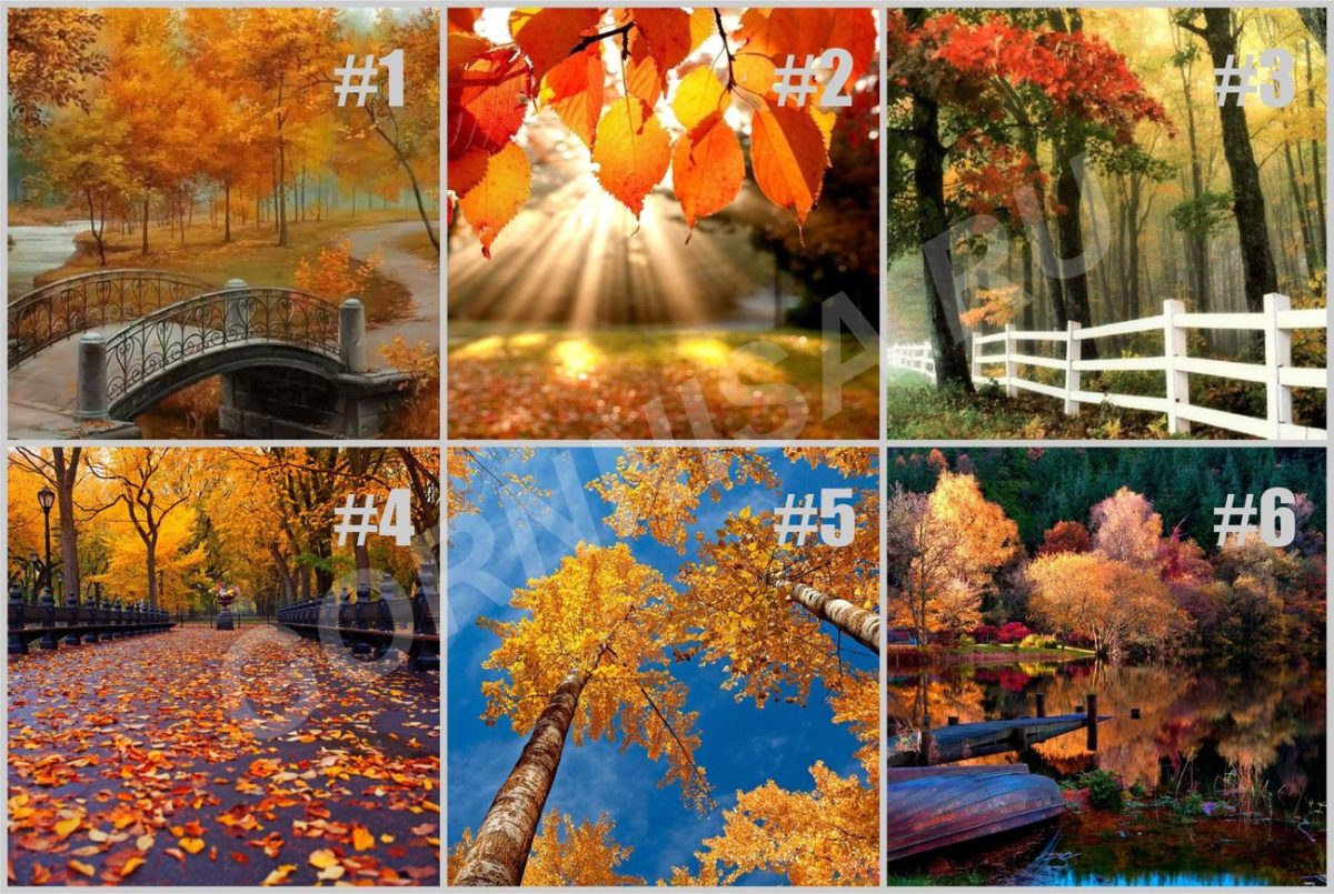 Тест - Выберите свою осень