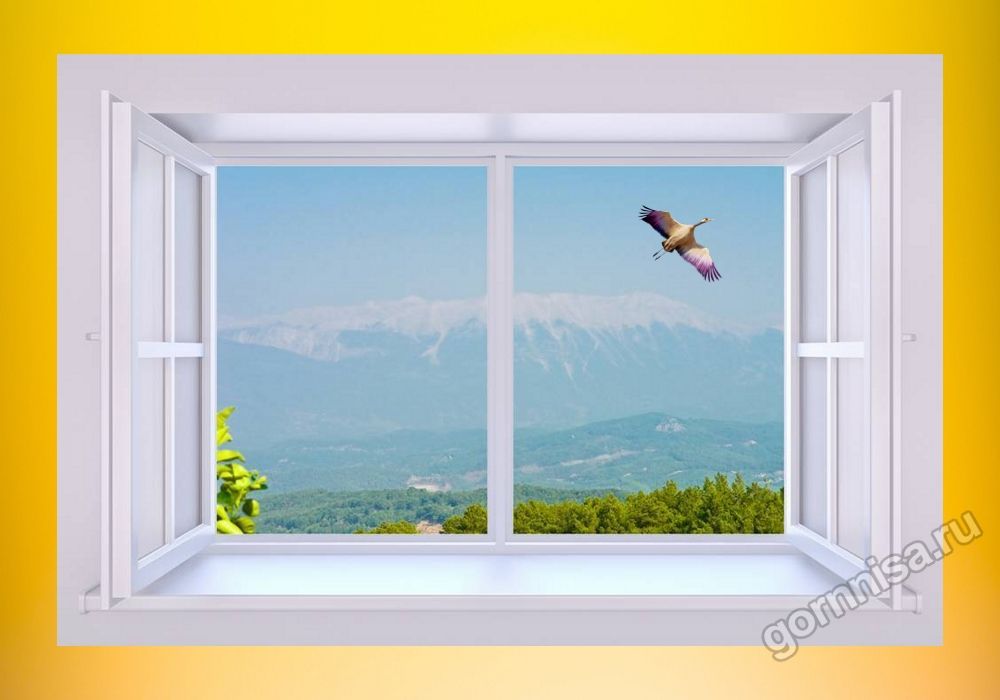 Окно 4