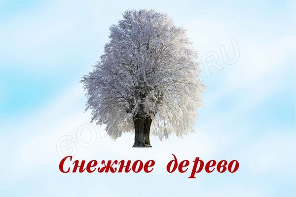 #4 Снежное дерево