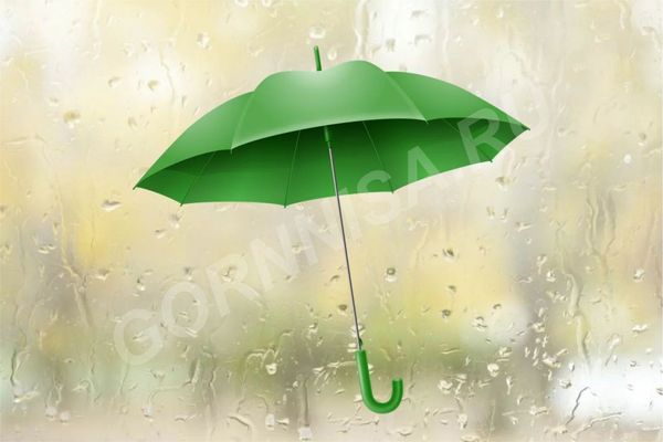 #1 Зеленый зонт