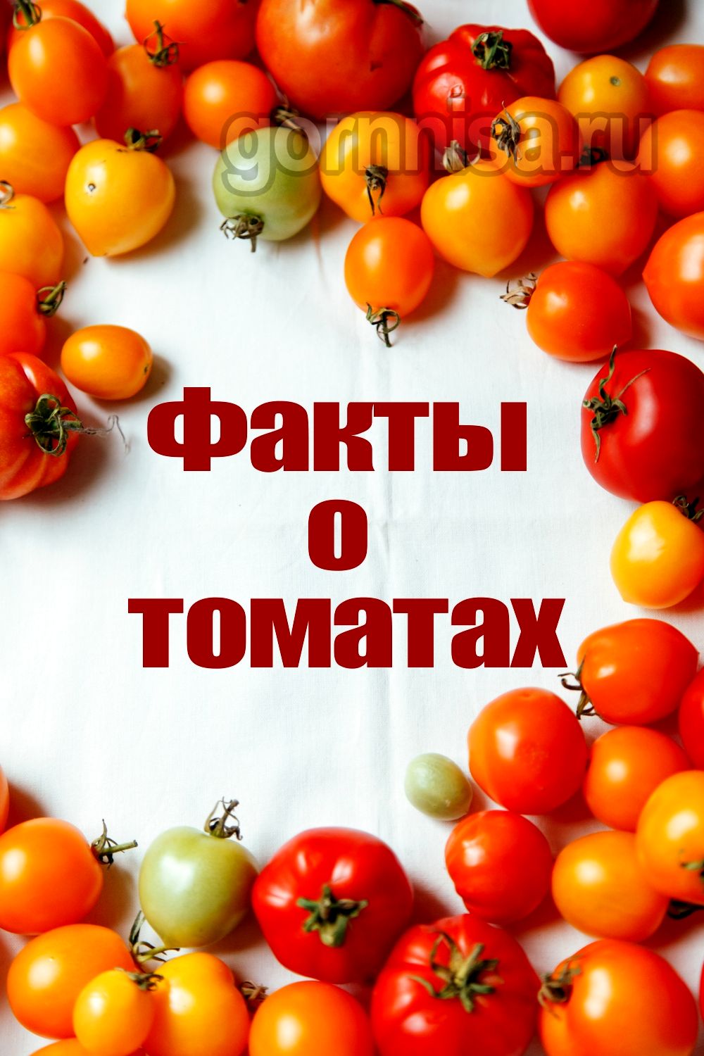 Факты о томатах