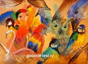 Тест на желание — Какую птицу увидели первой?